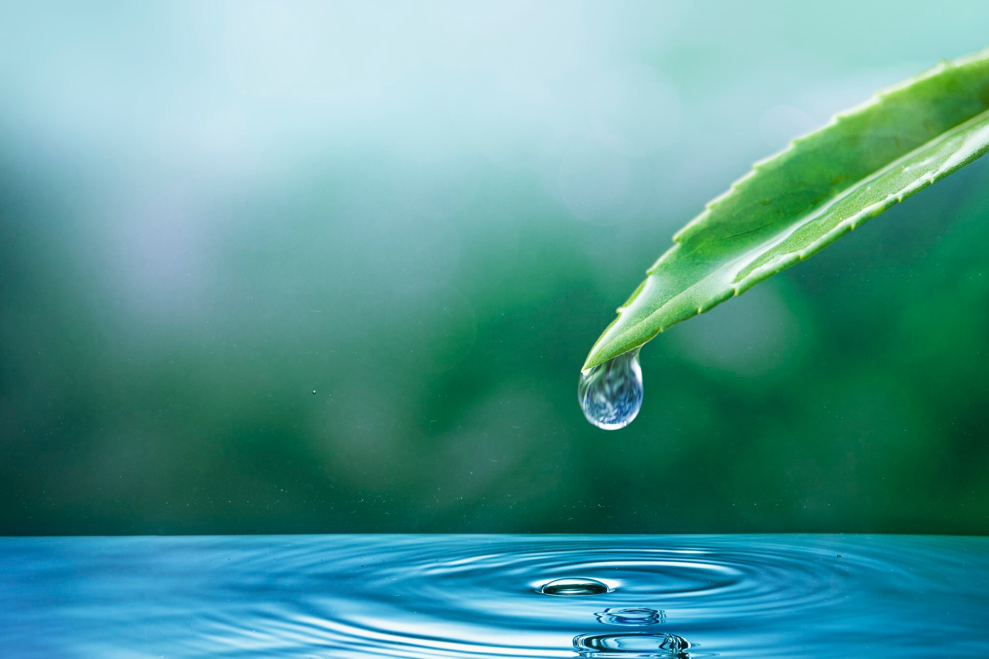 Agua